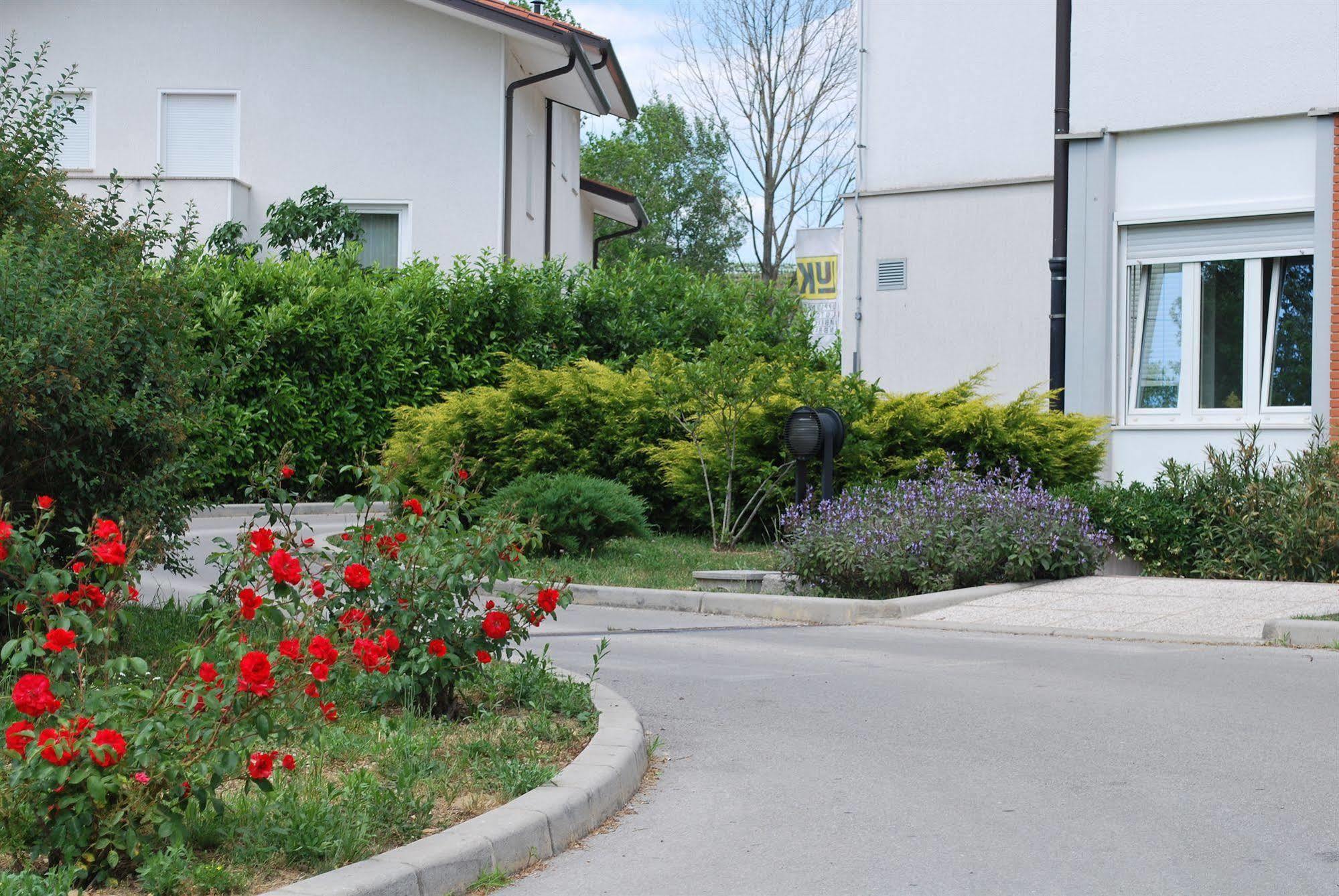 Bed And Breakfast Kogoj Nova Gorica Extérieur photo